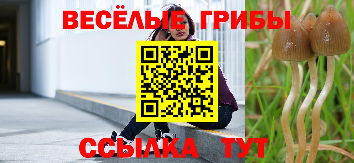 Псилоцибиновые грибы прущие грибы  Галлюциногенные грибы GOLDEN TEACHER  Вход с VPN  как найти наркотики  Светлоград 